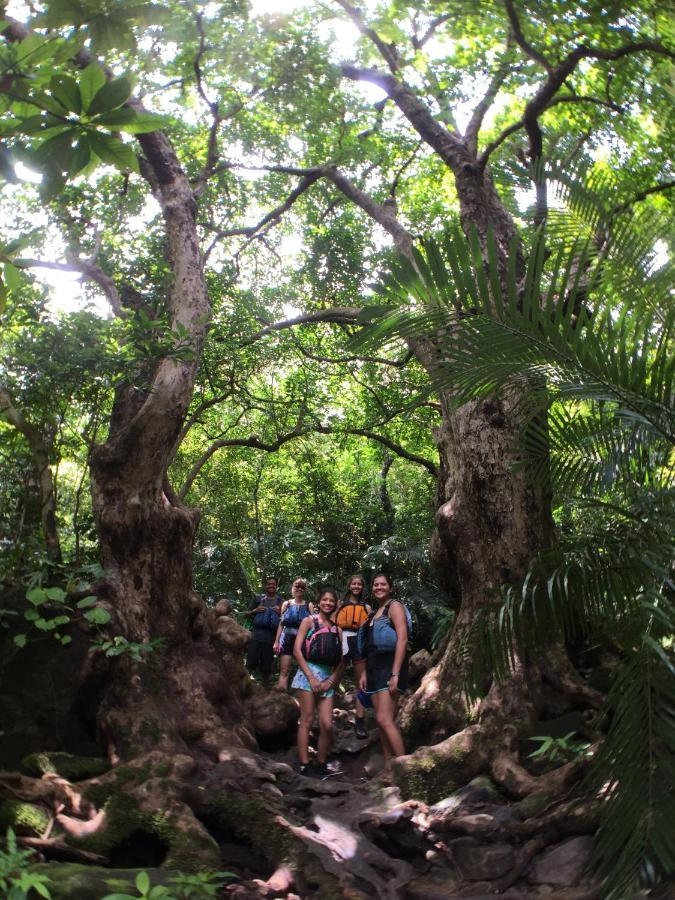 فندق Nest Iriomote Urauchi المظهر الخارجي الصورة